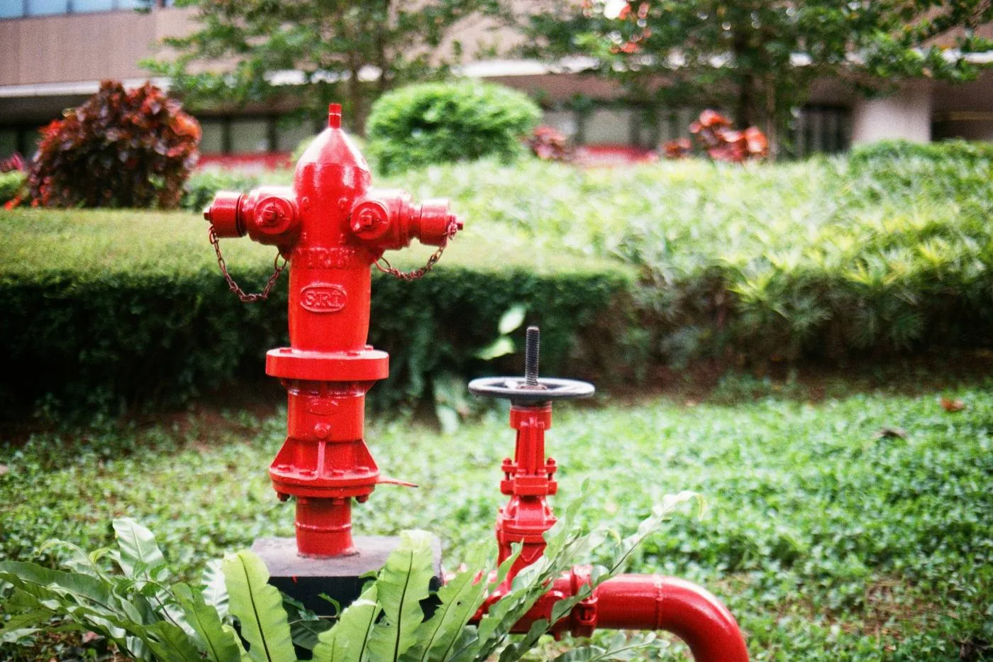 Hidrante de patio contra incendio